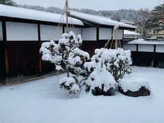 -高山阵屋