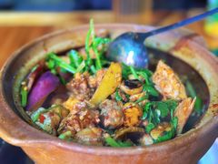 潮汕金牌鸡煲-洪大厨鸡煲(福田店)