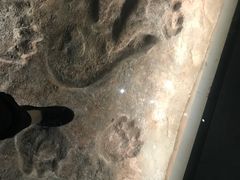 -湖南省地质博物馆