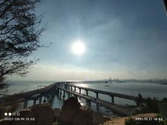 -星海湾跨海大桥