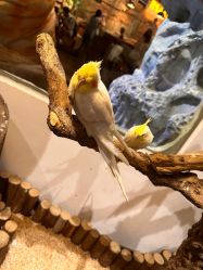 -Zoolung Zoolung动物主题公园(海信广场店)