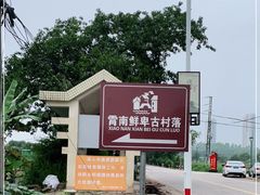 -江门古劳水乡旅游区