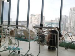 -怪兽屋·羊驼·猫咖·狗咖(俊华广场店)