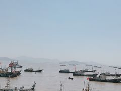 -高佳庄·舟山海鲜(海景旗舰店)