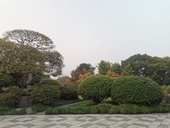 -月湖公园