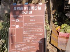 -瑞丽独树成林风景区