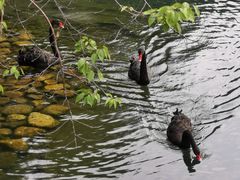 -长白岛森林公园