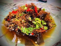 -山菌美食苑(振兴路店)