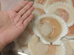 -KAOKAO烤烤·丹东海鲜烧烤(望京店)