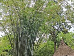 -成都杜甫草堂博物馆