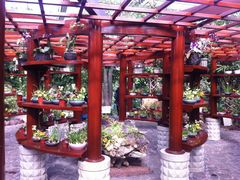 -南通洲际绿博园