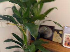 -沐森 •疗愈头疗馆(打浦桥店)