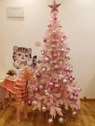 大堂-Lab Season惜辰颜究社