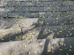 -上海佘山国家森林公园西佘山园