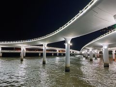 -演武大桥观景平台