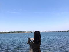 -丁香湖公园