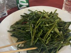 -The Palmboo Restaurant