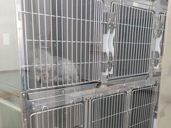 -宠福鑫康馨动物医院·骨科·眼科