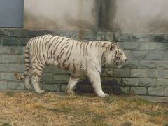 景点-西安秦岭野生动物园