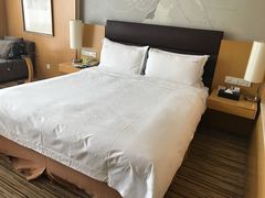 -石家庄万象天成假日酒店