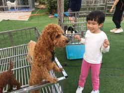 -萌宠亲子动物乐园(槐房万达店)