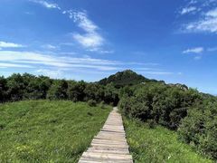 -白草畔自然风景区