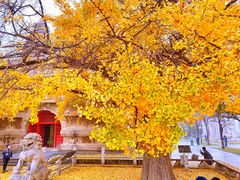 -北京石刻艺术博物馆(五塔寺)
