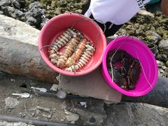 -仙本那小型鱼市