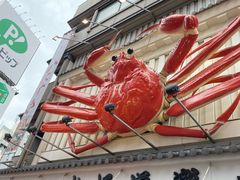 -蟹道乐(道顿堀本店)