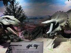 -国家自然博物馆