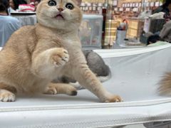 -万达广场(北京槐房店)