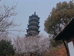 -牛首山文化旅游区