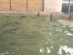 -春晖园度假酒店温泉