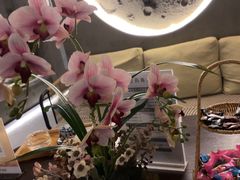 -施奈儿.洗头頭療.按摩SPA.采耳(上梅林店)
