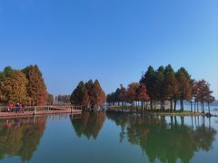 -贡湖湾湿地公园