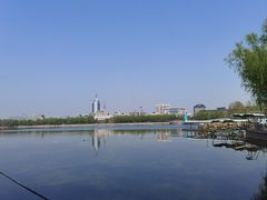 -莲花池公园