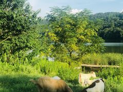 -南京市无想山景区