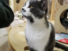 -猫和宫(六道口店)
