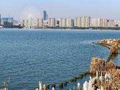 -长广溪湿地公园