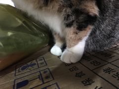 -老地方面馆(思南路店)