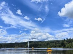 -五营红松林海景区