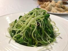 -首钢一九一九大酒楼(石景山店)