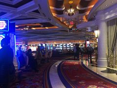 -拉斯维加斯永利酒店