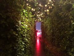 -顶层酒吧ROOF(上海艾迪逊酒店)