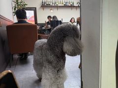 -沏点Trattoria意大利餐厅(新街口店)