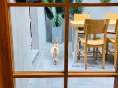 -猫的天空之城概念书店(苏州平江店)