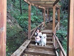 -大岭沟猕猴桃谷风景区