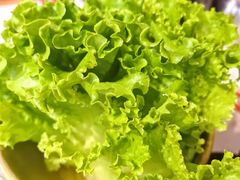 -杨记齐齐哈尔烤肉(总店)