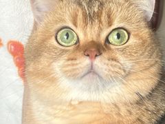 -蘭茉L'Amour(万象城店)