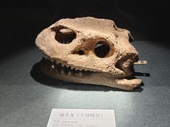 -大连自然博物馆